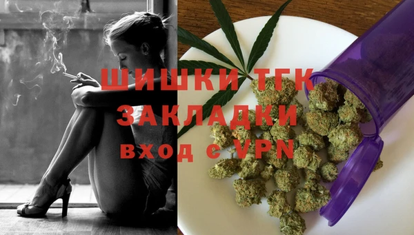 ECSTASY Богородицк